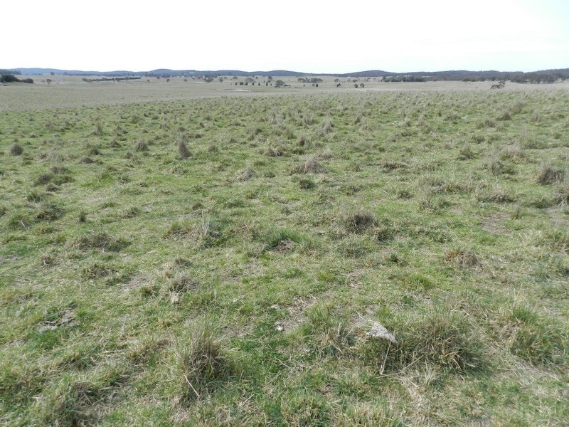 24 Dewsberry  Lane, Goulburn NSW 2580