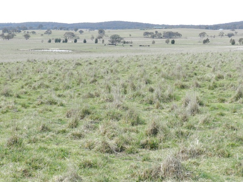 24 Dewsberry  Lane, Goulburn NSW 2580