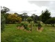 1080 Bullamalita Road, Goulburn NSW 2580