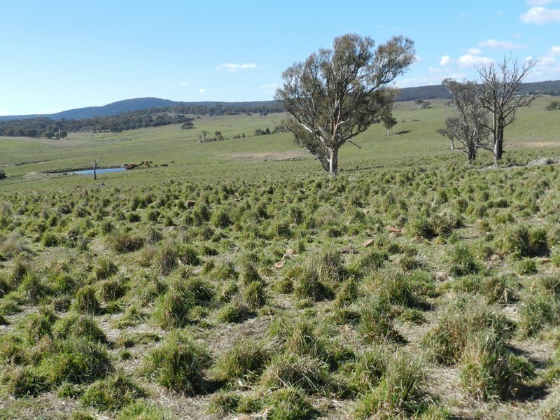 Gundary Park Kooringaroo  Road, Goulburn NSW 2580