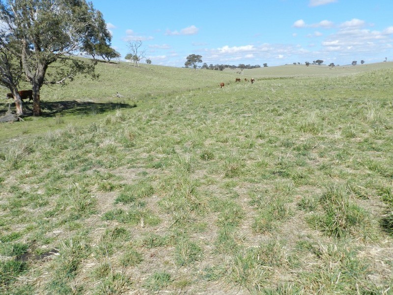 Gundary Park Kooringaroo  Road, Goulburn NSW 2580