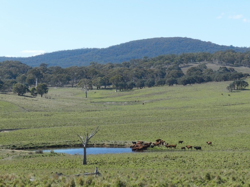 Gundary Park Kooringaroo  Road, Goulburn NSW 2580