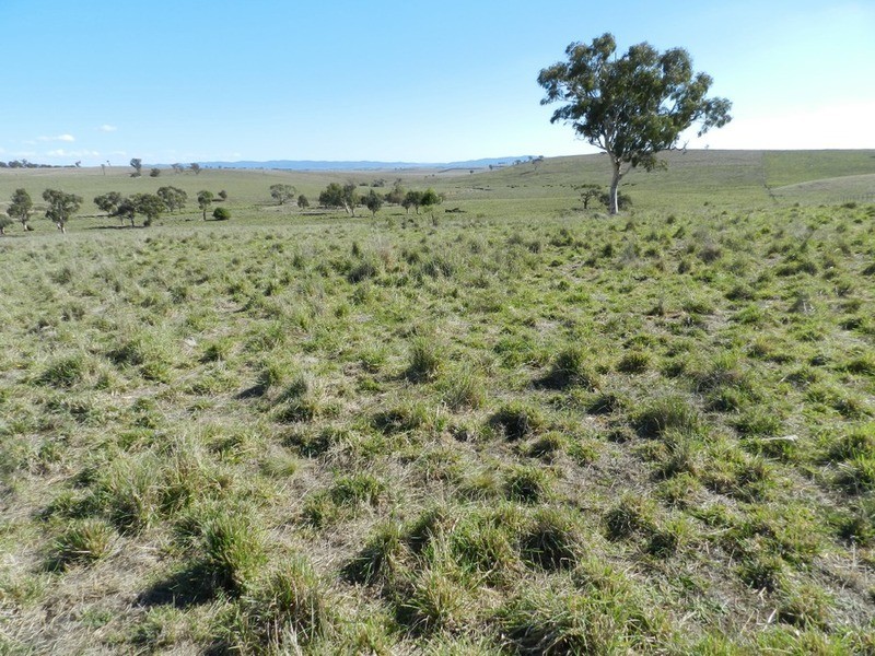 Gundary Park Kooringaroo  Road, Goulburn NSW 2580