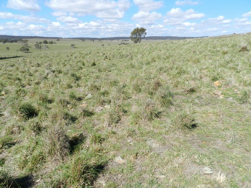 Gundary Park Kooringaroo  Road, Goulburn NSW 2580