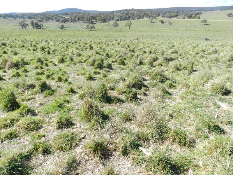 Gundary Park Kooringaroo  Road, Goulburn NSW 2580