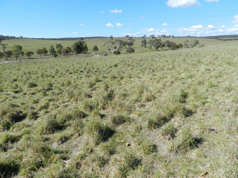 Gundary Park Kooringaroo  Road, Goulburn NSW 2580