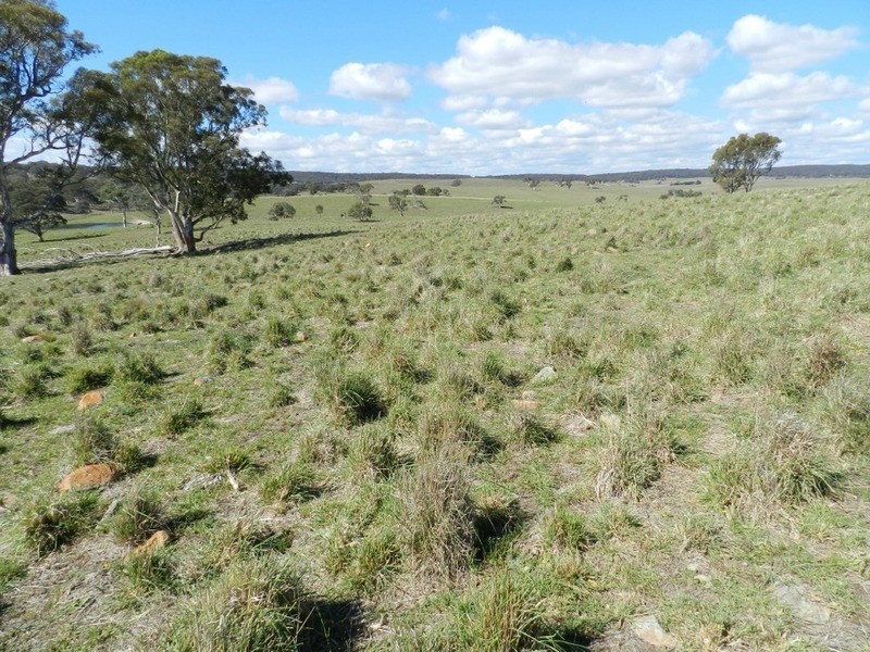 Gundary Park Kooringaroo  Road, Goulburn NSW 2580