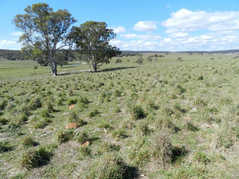 Gundary Park Kooringaroo  Road, Goulburn NSW 2580