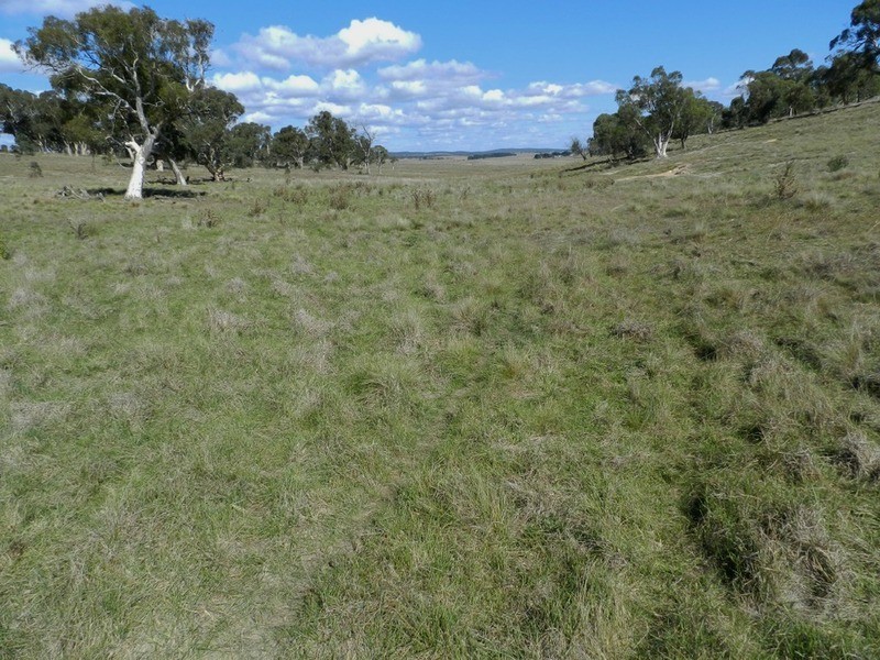 Gundary Park Kooringaroo  Road, Goulburn NSW 2580