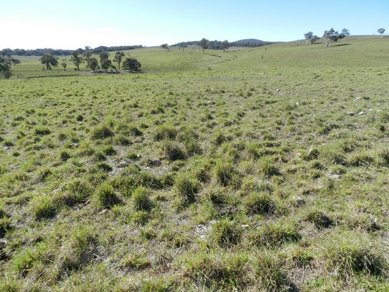 Gundary Park Kooringaroo  Road, Goulburn NSW 2580