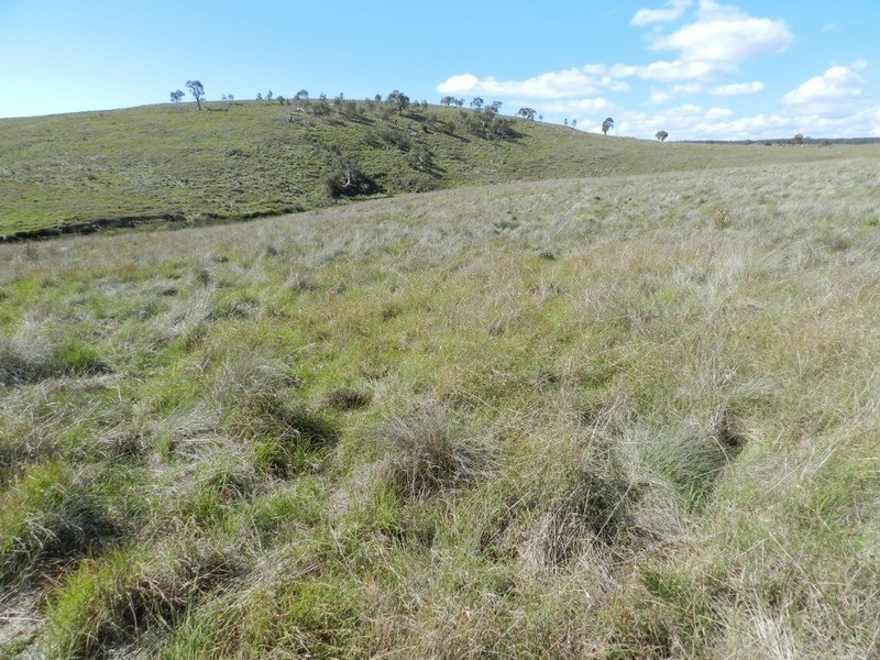 Gundary Park Kooringaroo  Road, Goulburn NSW 2580