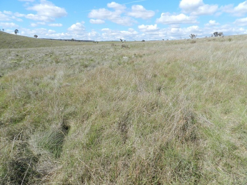 Gundary Park Kooringaroo  Road, Goulburn NSW 2580