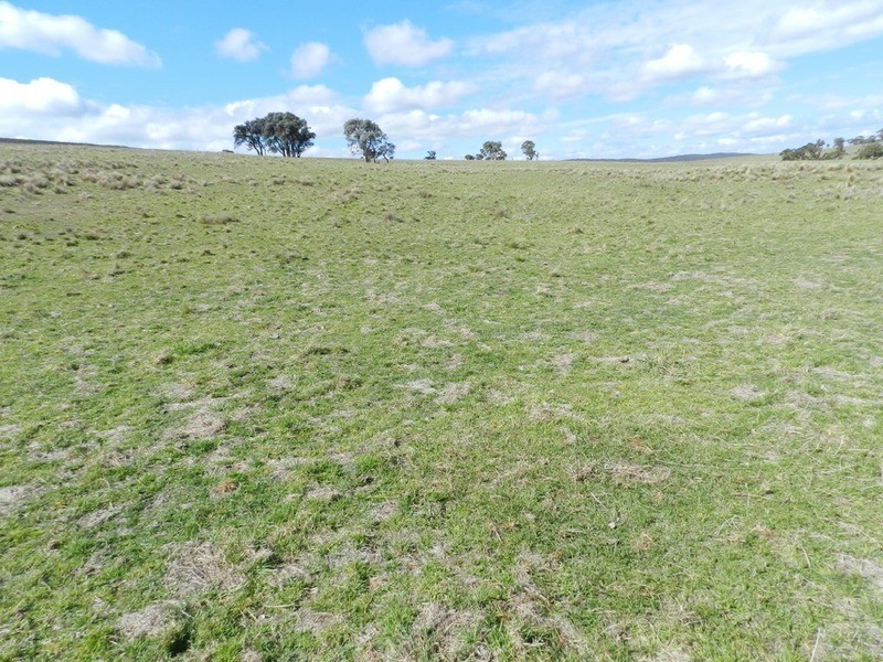 Gundary Park Kooringaroo  Road, Goulburn NSW 2580