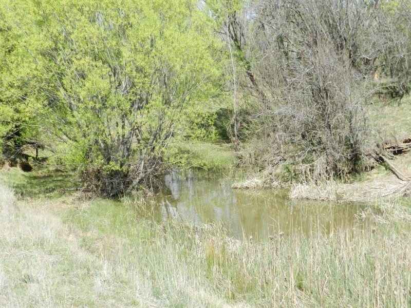 394 Lookdown  Road, Bungonia NSW 2580