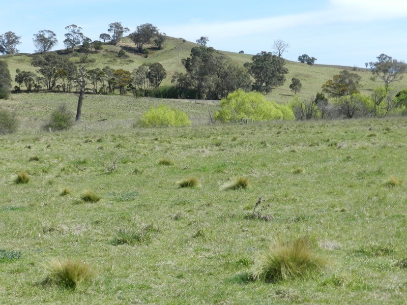 394 Lookdown  Road, Bungonia NSW 2580