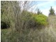 Lot 7 Queen Street, Binda NSW 2583