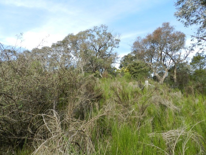 Lot 7 Queen Street, Binda NSW 2583