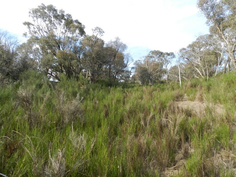 Lot 7 Queen Street, Binda NSW 2583