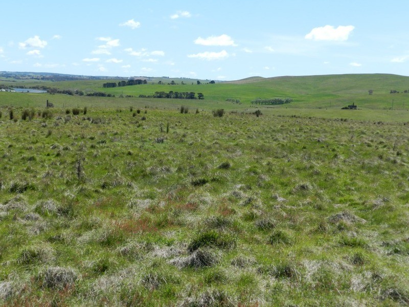 385 Woodhouselee Road, Goulburn NSW 2580