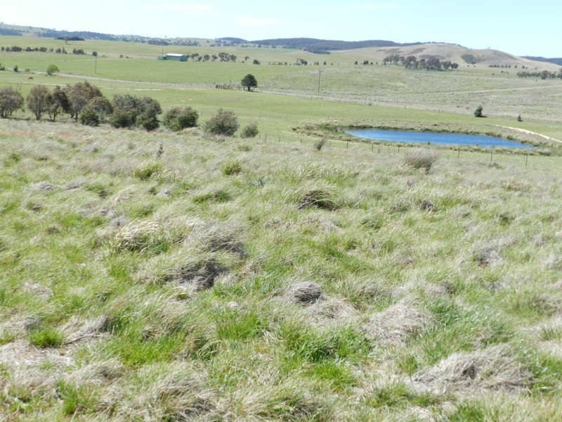 385 Woodhouselee Road, Goulburn NSW 2580