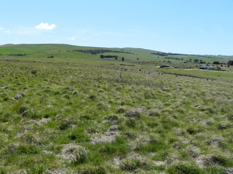 385 Woodhouselee Road, Goulburn NSW 2580