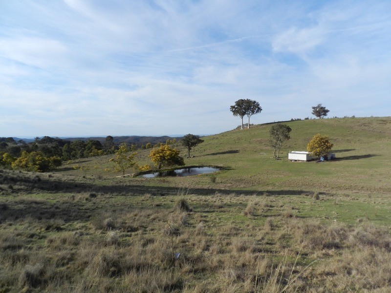 152 Kangaloolah Road, Binda NSW 2583