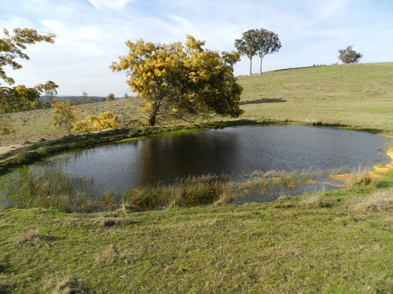 152 Kangaloolah Road, Binda NSW 2583