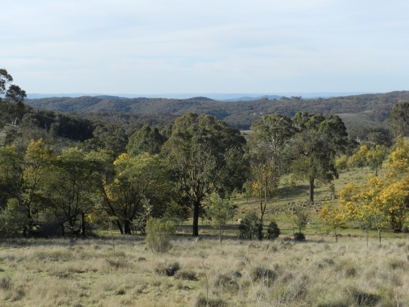 152 Kangaloolah Road, Binda NSW 2583