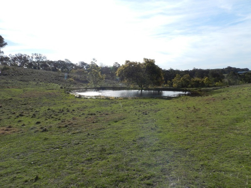 152 Kangaloolah Road, Binda NSW 2583