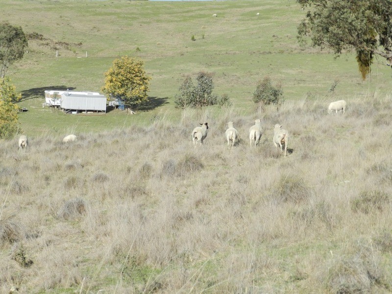 152 Kangaloolah Road, Binda NSW 2583