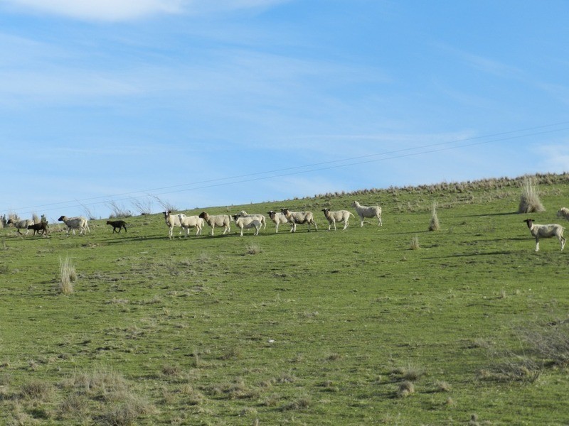 152 Kangaloolah Road, Binda NSW 2583