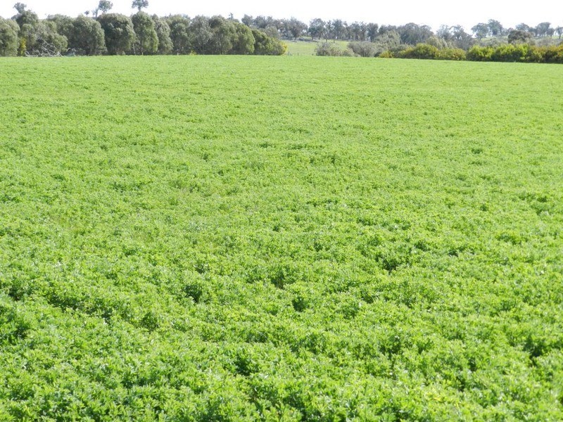 Lot 2 Off Laggan Taralga Road, Laggan NSW 2583