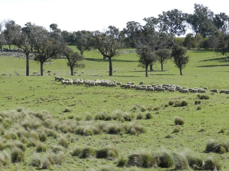 Lot 2 Off Laggan Taralga Road, Laggan NSW 2583