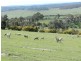 Lot 2 Off Laggan Taralga Road, Laggan NSW 2583