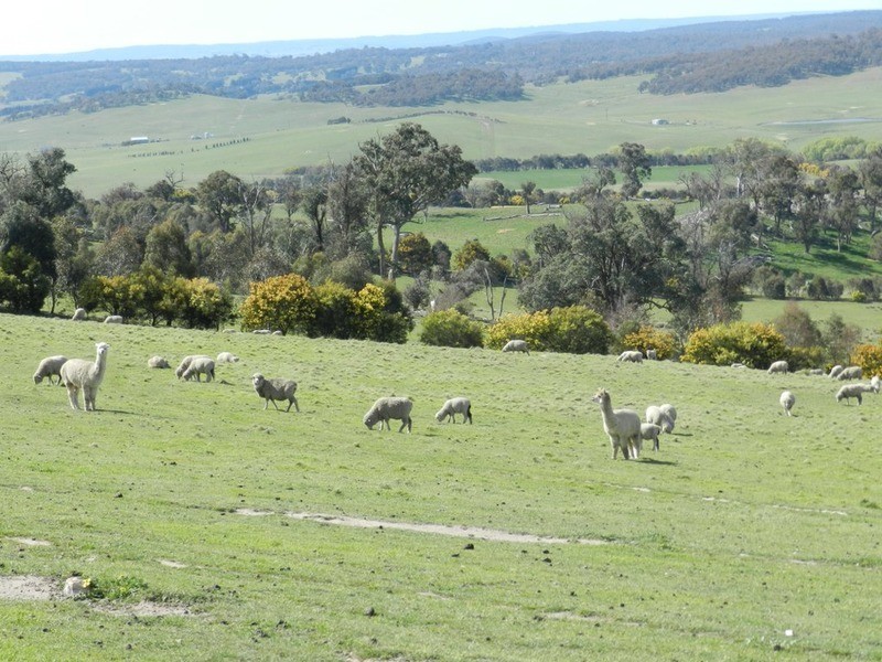 Lot 2 Off Laggan Taralga Road, Laggan NSW 2583