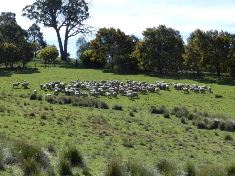 Lot 2 Off Laggan Taralga Road, Laggan NSW 2583