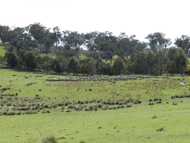 Lot 2 Off Laggan Taralga Road, Laggan NSW 2583
