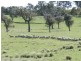 Lot 2 Off Laggan Taralga Road, Laggan NSW 2583
