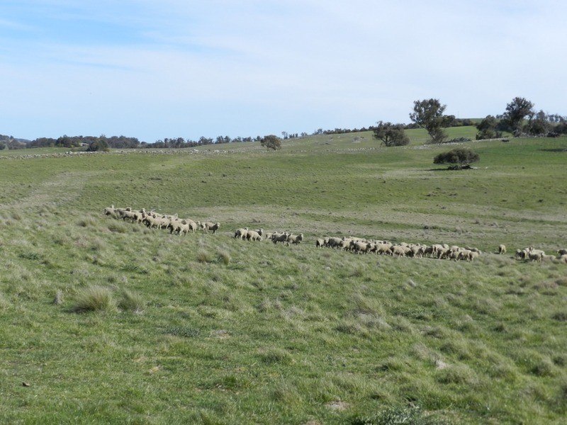Lot 2 Off Laggan Taralga Road, Laggan NSW 2583