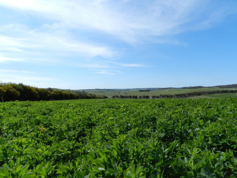 Lot 2 Off Laggan Taralga Road, Laggan NSW 2583