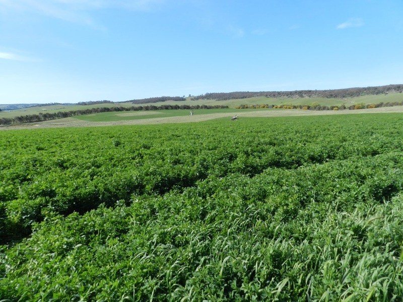 Lot 2 Off Laggan Taralga Road, Laggan NSW 2583