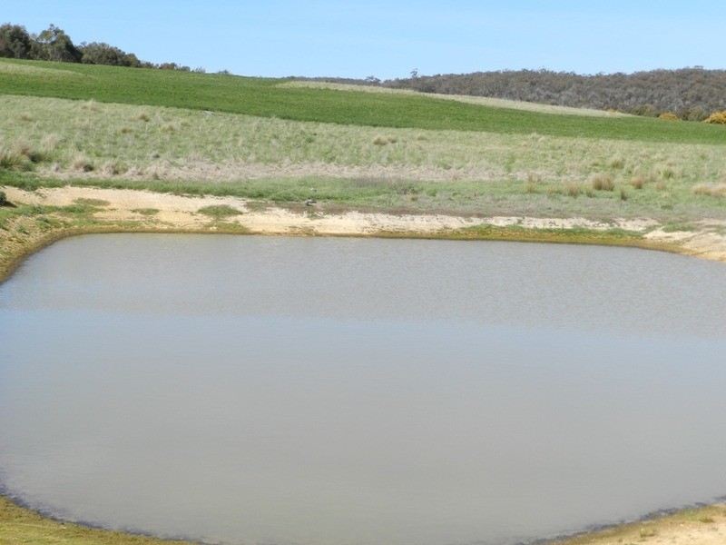 Lot 2 Off Laggan Taralga Road, Laggan NSW 2583