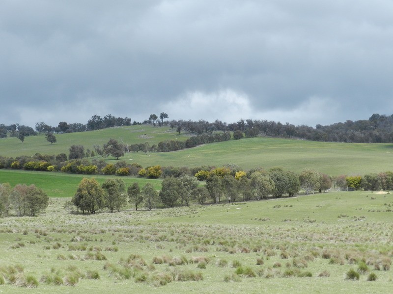 Lot 5 Off Laggan Taralga Road, Laggan NSW 2583