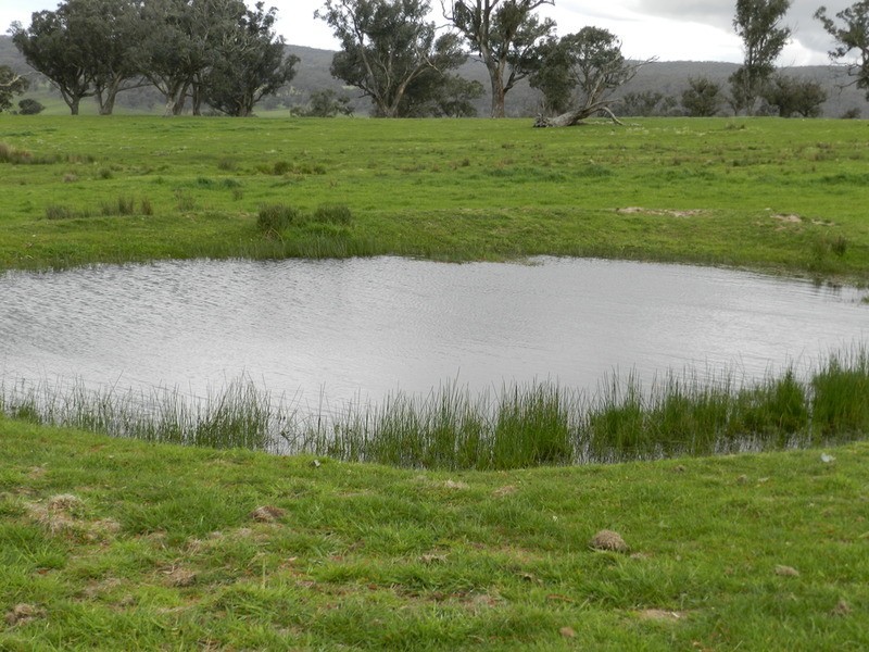 Lot 5 Off Laggan Taralga Road, Laggan NSW 2583