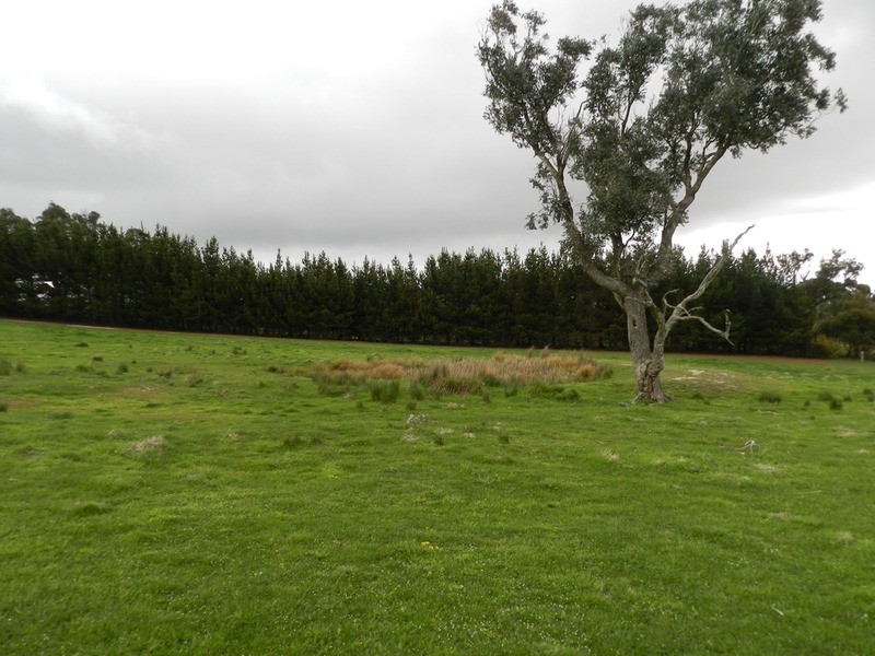 Lot 5 Off Laggan Taralga Road, Laggan NSW 2583