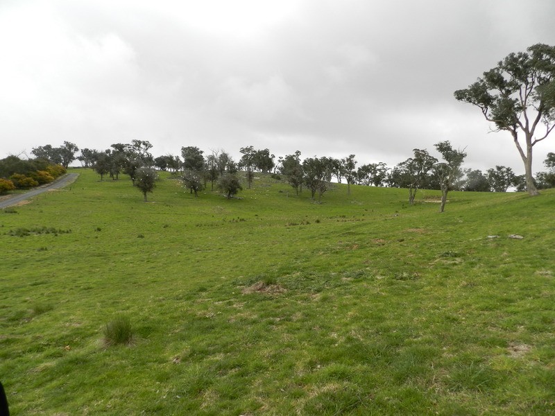 Lot 5 Off Laggan Taralga Road, Laggan NSW 2583