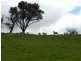 Lot 5 Off Laggan Taralga Road, Laggan NSW 2583