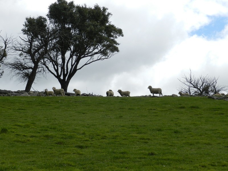 Lot 5 Off Laggan Taralga Road, Laggan NSW 2583