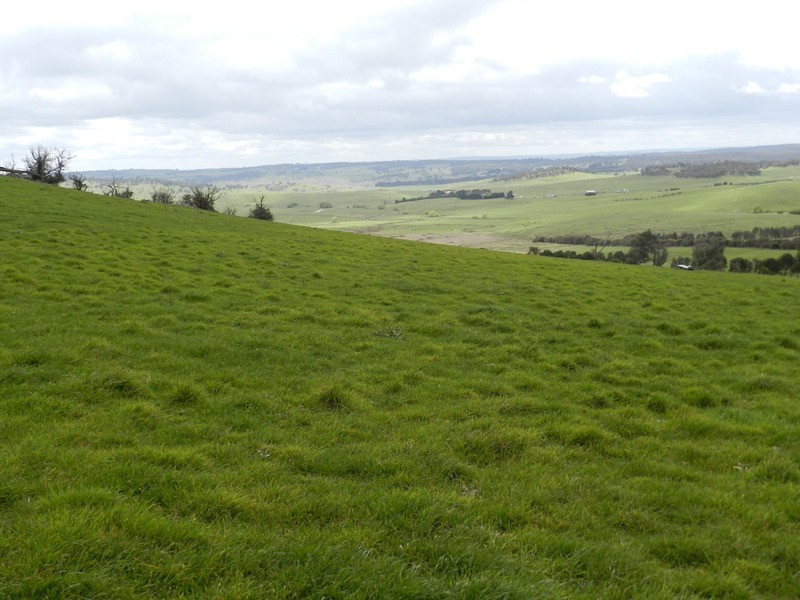 Lot 5 Off Laggan Taralga Road, Laggan NSW 2583