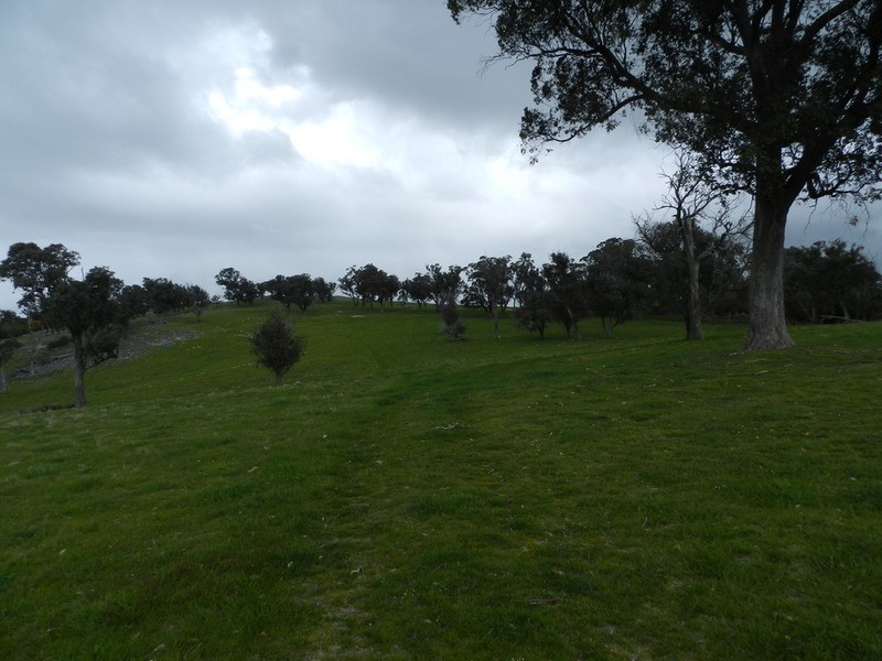 Lot 5 Off Laggan Taralga Road, Laggan NSW 2583